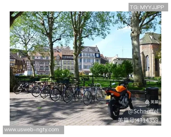 法语世界中的足球魅力探索与文化交融之旅